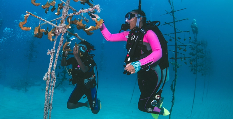 Best Places To Go Scuba Diving In The Dubai